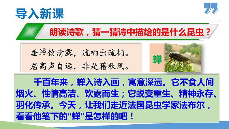 21 蝉-2021-2022学年八年级语文上册同步优课课件（PPT）第1页