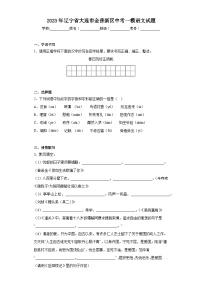 2023年辽宁省大连市金普新区中考一模语文试题（含答案）