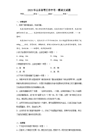 2023年山东省枣庄市中考一模语文试题（含答案）