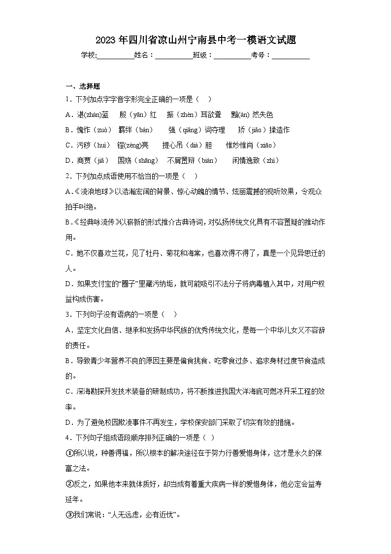 2023年四川省凉山州宁南县中考一模语文试题（含答案）01
