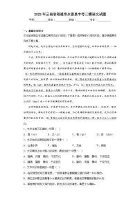 2023年云南省昭通市永善县中考三模语文试题（含答案）