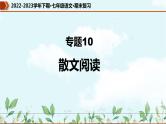 专题10 散文阅读（课件）-2022-2023学年七年级语文下册期末复习精品课件及专题检测