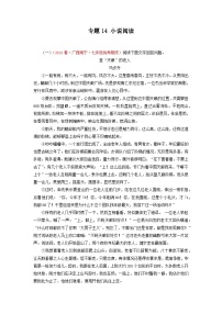 专题14 小说阅读-2022-2023学年七年级语文下册期末专项复习
