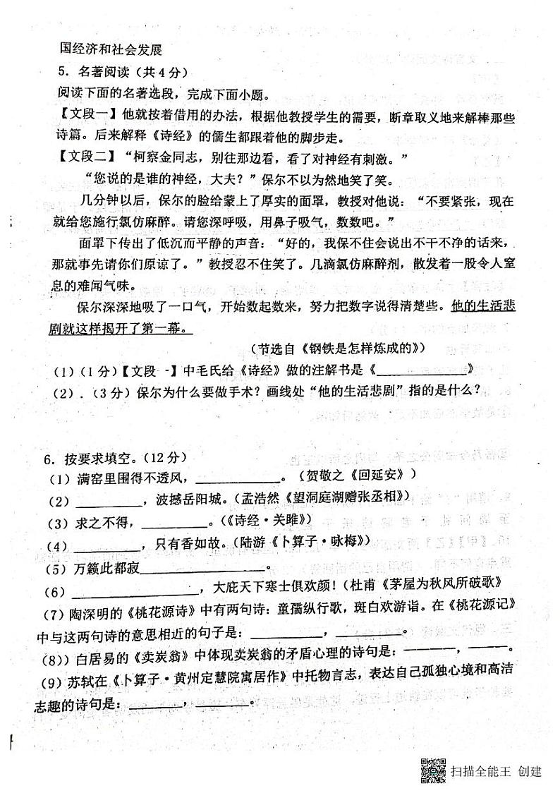 山东省聊城市阳谷县实验中学2022-2023学年八年级下学期6月月考语文试题02