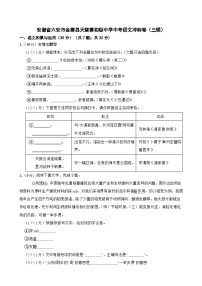 2023年安徽省六安市金寨县天堂寨初级中学中考语文冲刺卷（三模）（含答案）