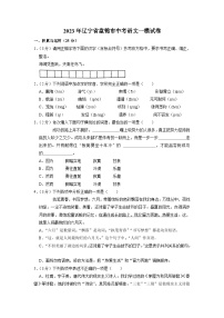 2023年辽宁省盘锦市中考语文一模试卷