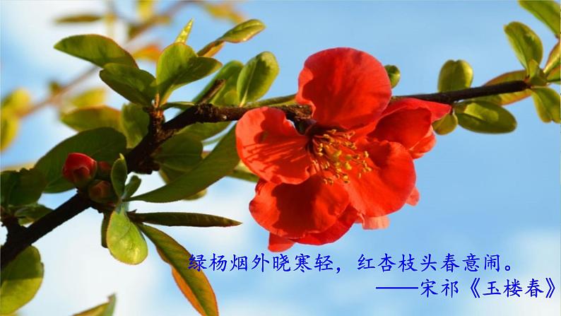 1《春》课件PPT04
