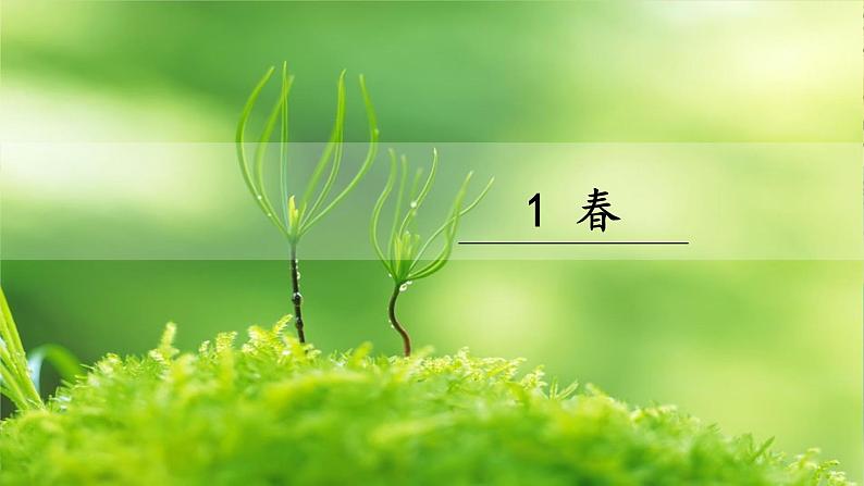 1《春》课件PPT05
