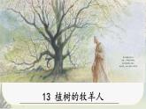 13《植樹的牧羊人》課件PPT