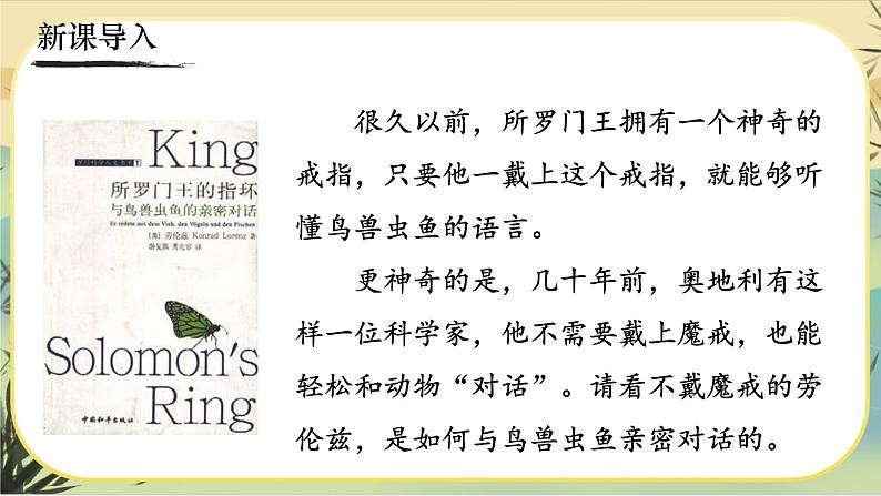 17《动物笑谈》课件PPT01