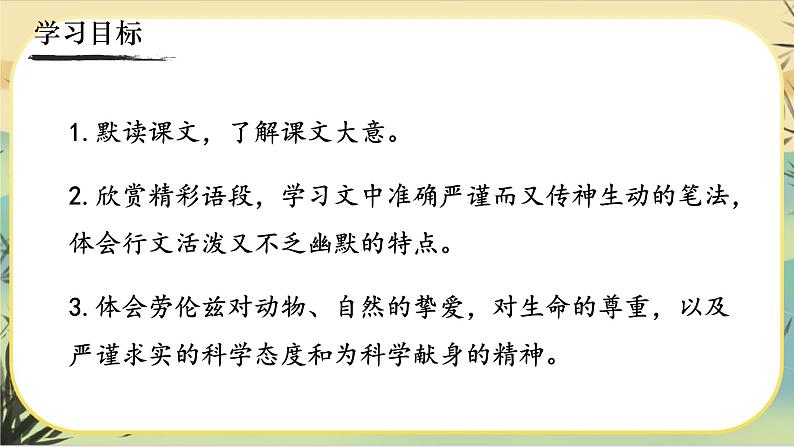 17《动物笑谈》课件PPT03