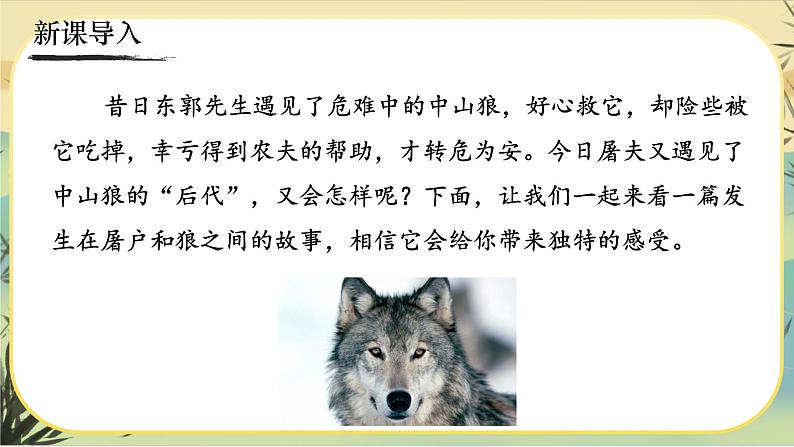18《狼》课件PPT01