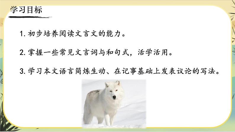 18《狼》课件PPT03