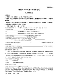 2023年陕西省渭南市蒲城县中考二模语文试题（含答案）