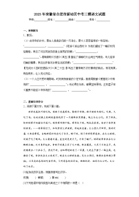 2023年安徽省合肥市新站区中考三模语文试题（含答案）