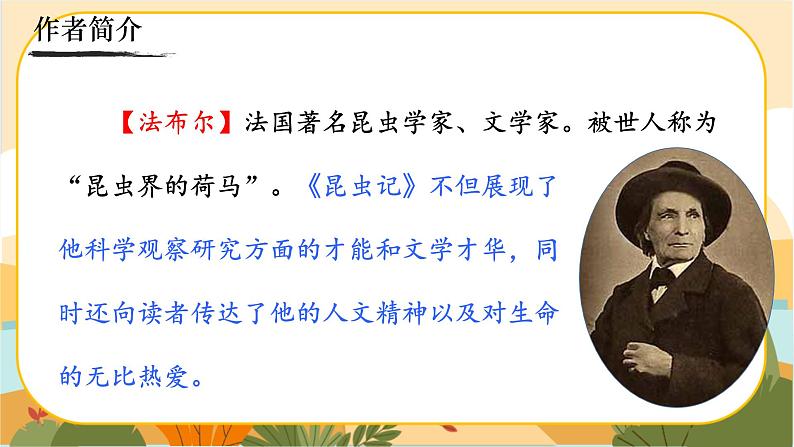 人教部编版语文八上·名著导读  《昆虫记》：科普作品的阅读（课件PPT+素材）03