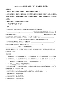 安徽省滁州市定远县范岗学校2022-2023学年七年级下学期期中语文试题