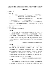 山东省德州市庆云县2022-2023学年九年级上学期期末语文试卷