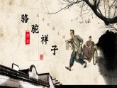 骆驼祥子 读书会课件PPT