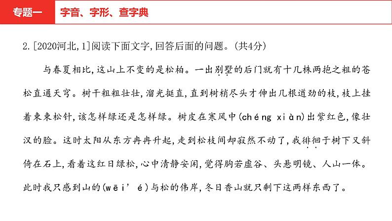 中考语文复习--  专题一 字音字形查字典课件PPT第5页