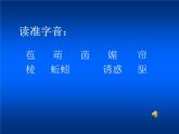 第3课《雨的四季》PPT课件9-七年级语文上册统编版