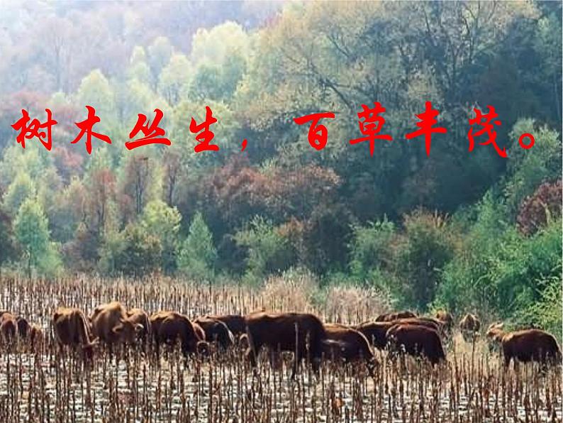 第4课《古代诗歌四首-观沧海》PPT课件5-七年级语文上册统编版03