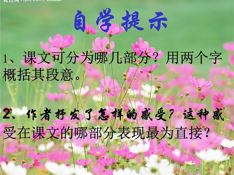 第1课《春》PPT课件6-七年级语文上册统编版第5页
