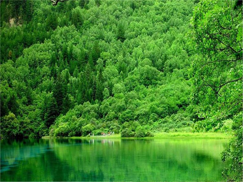 第1课《春》PPT课件2-七年级语文上册统编版第5页