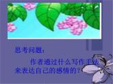 第4课《古代诗歌四首-天净沙·秋思》PPT课件2-七年级语文上册统编版