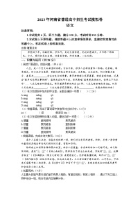 2023年河南省洛阳市宜阳县中考三模语文试题