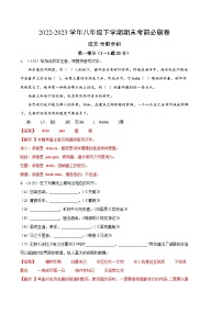 语文 02卷（河北专用）——2022-2023学年八年级下学期期末模拟卷