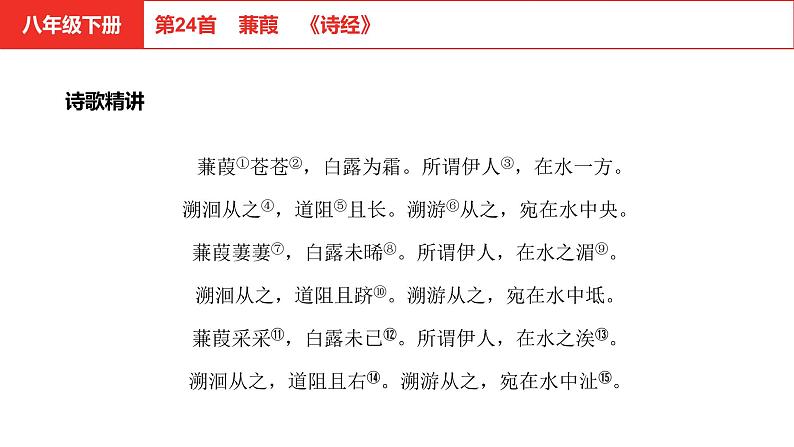 中考语文文言文复习--   蒹葭课件PPT第3页