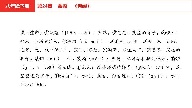 中考语文文言文复习--   蒹葭课件PPT第5页