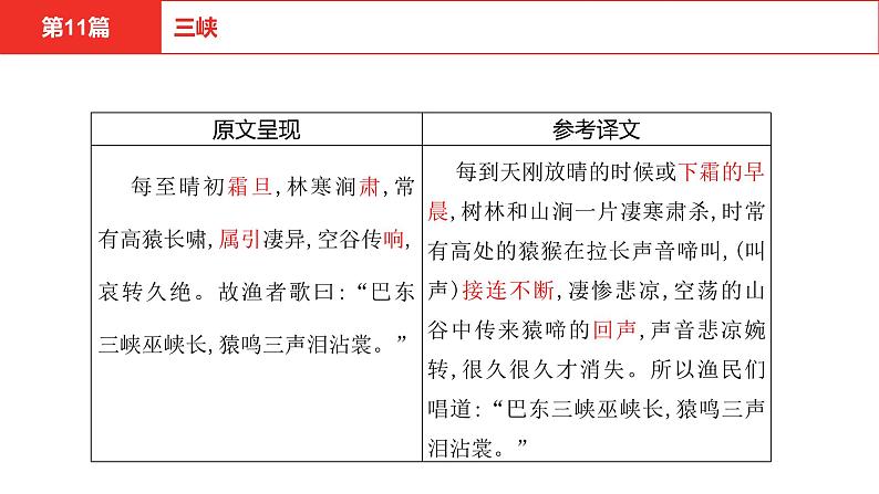 中考语文文言文复习--   三峡课件PPT第7页