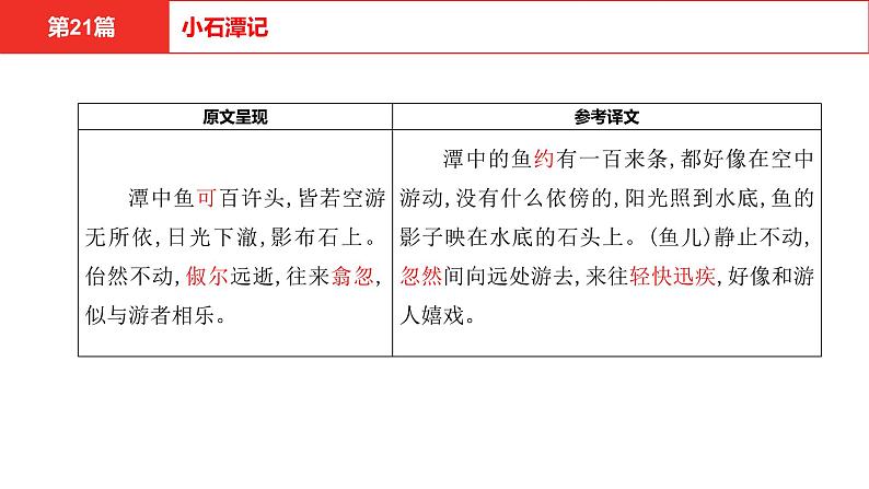 中考语文文言文复习--   小石潭记课件PPT第5页