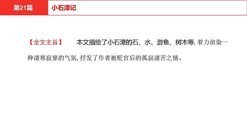 中考语文文言文复习--   小石潭记课件PPT第8页