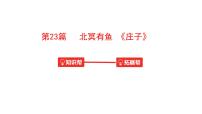 中考语文文言文复习--  北冥有鱼课件PPT