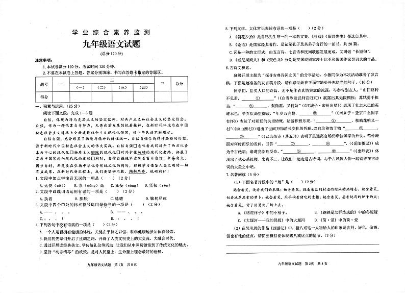 2023年山东省枣庄市薛城区中考二模语文试题01