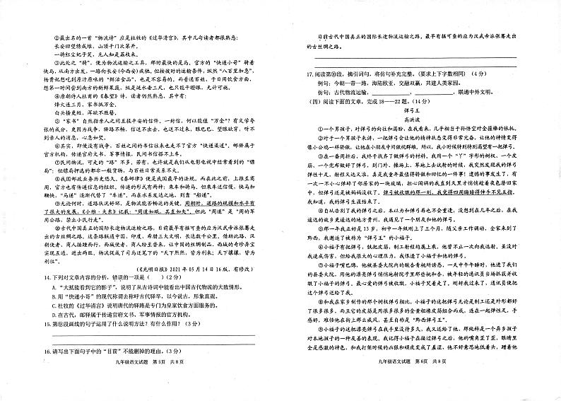 2023年山东省枣庄市薛城区中考二模语文试题03