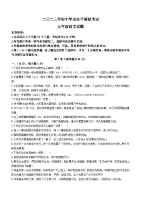 2023年山东省泰安市岱岳区中考三模语文试题（含答案）