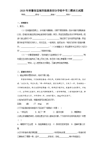 2023年安徽省宣城市旌德县部分学校中考三模语文试题（含答案）