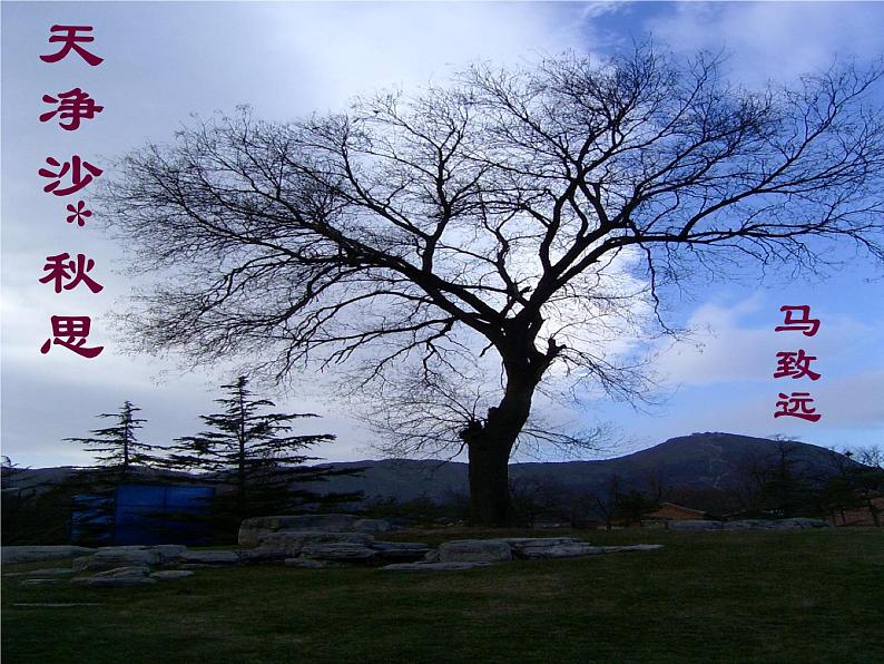 第4课《古代诗歌四首-天净沙·秋思》PPT课件6-七年级语文上册统编版01