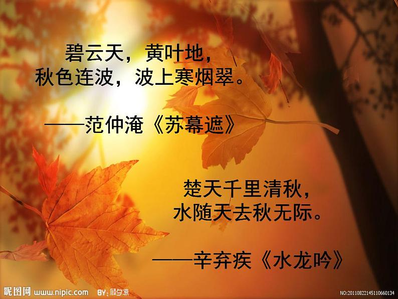 第4课《古代诗歌四首-天净沙·秋思》PPT课件1-七年级语文上册统编版02