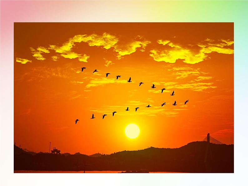 第5课《秋天的怀念》PPT课件1-七年级语文上册统编版第2页