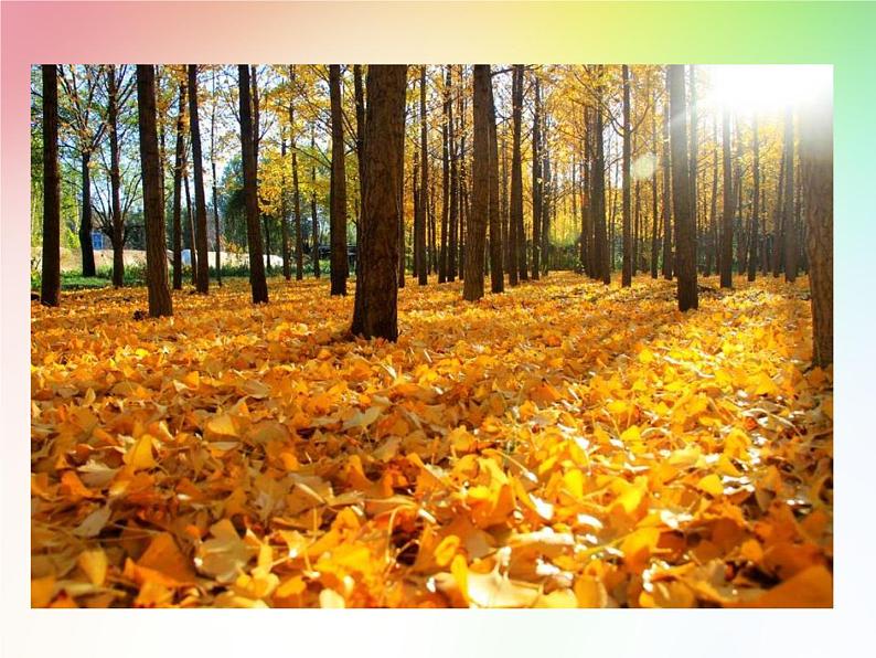 第5课《秋天的怀念》PPT课件1-七年级语文上册统编版第5页