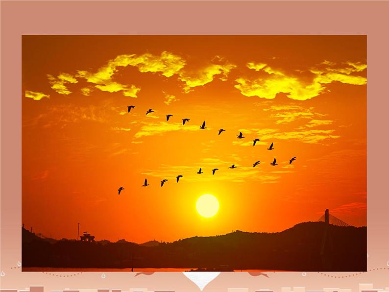 第5课《秋天的怀念》PPT课件5-七年级语文上册统编版第2页