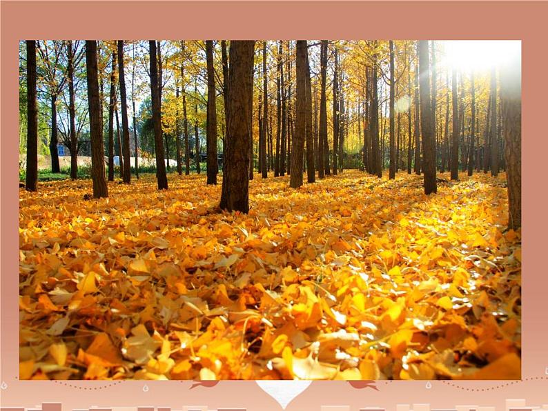 第5课《秋天的怀念》PPT课件5-七年级语文上册统编版第5页