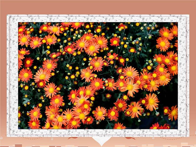 第5课《秋天的怀念》PPT课件5-七年级语文上册统编版第6页