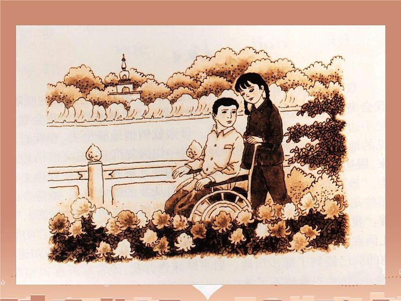 第5课《秋天的怀念》PPT课件5-七年级语文上册统编版第7页