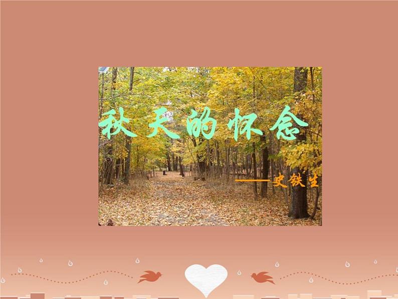 第5课《秋天的怀念》PPT课件5-七年级语文上册统编版第8页